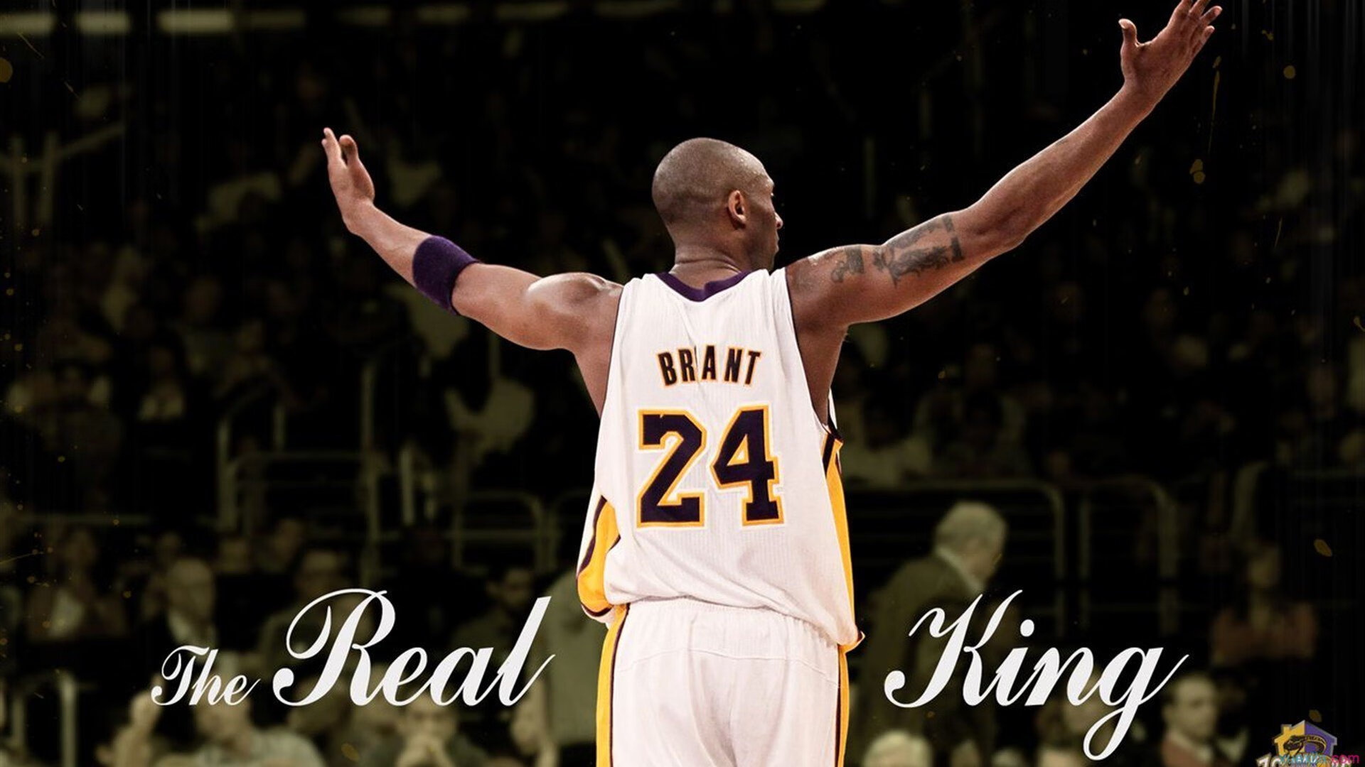 开云·体育全站登录地址-澳大利亚橄榄球赛事吸引更多全球品牌投资，市场潜力无限，澳大利亚橄榄球队  第1张