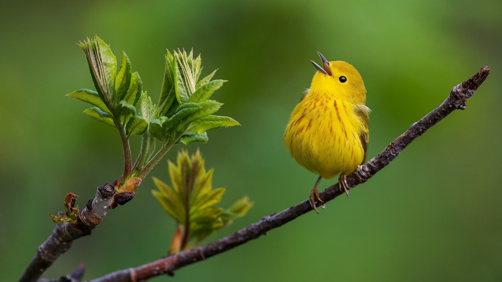 开云体育在线入口-2025篮球赛季亮点盘点，精彩不断，2021-2022篮球